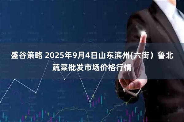 盛谷策略 2025年9月4日山东滨州(六街）鲁北蔬菜批发市场价格行情