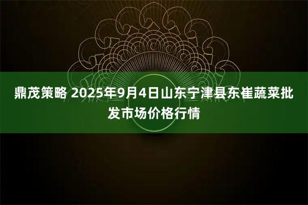 鼎茂策略 2025年9月4日山东宁津县东崔蔬菜批发市场价格行情