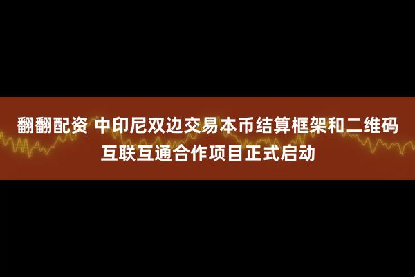 翻翻配资 中印尼双边交易本币结算框架和二维码互联互通合作项目正式启动