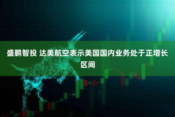 盛鹏智投 达美航空表示美国国内业务处于正增长区间