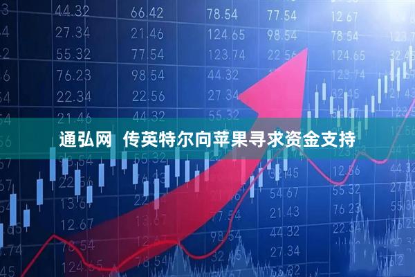 通弘网  传英特尔向苹果寻求资金支持