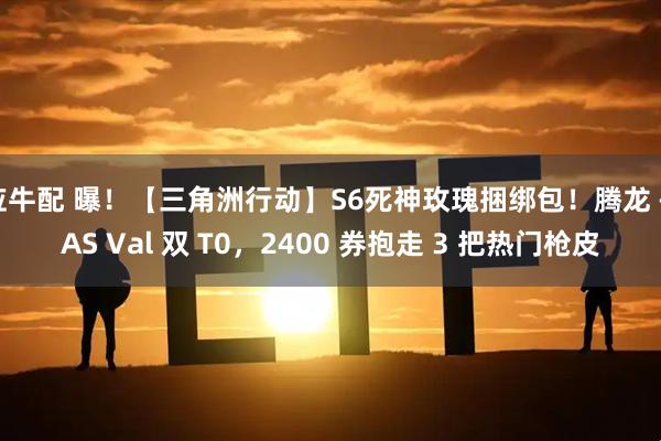 应牛配 曝！【三角洲行动】S6死神玫瑰捆绑包！腾龙 + AS Val 双 T0，2400 券抱走 3 把热门枪皮