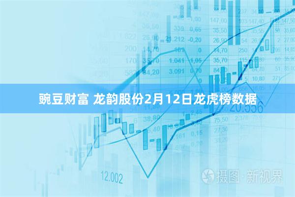 豌豆财富 龙韵股份2月12日龙虎榜数据